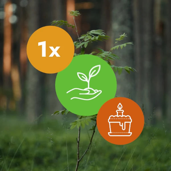 Gift a Tree - Birthday Pack