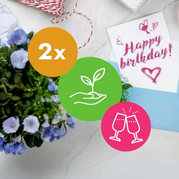 Gift two Trees - Birthday Pack
