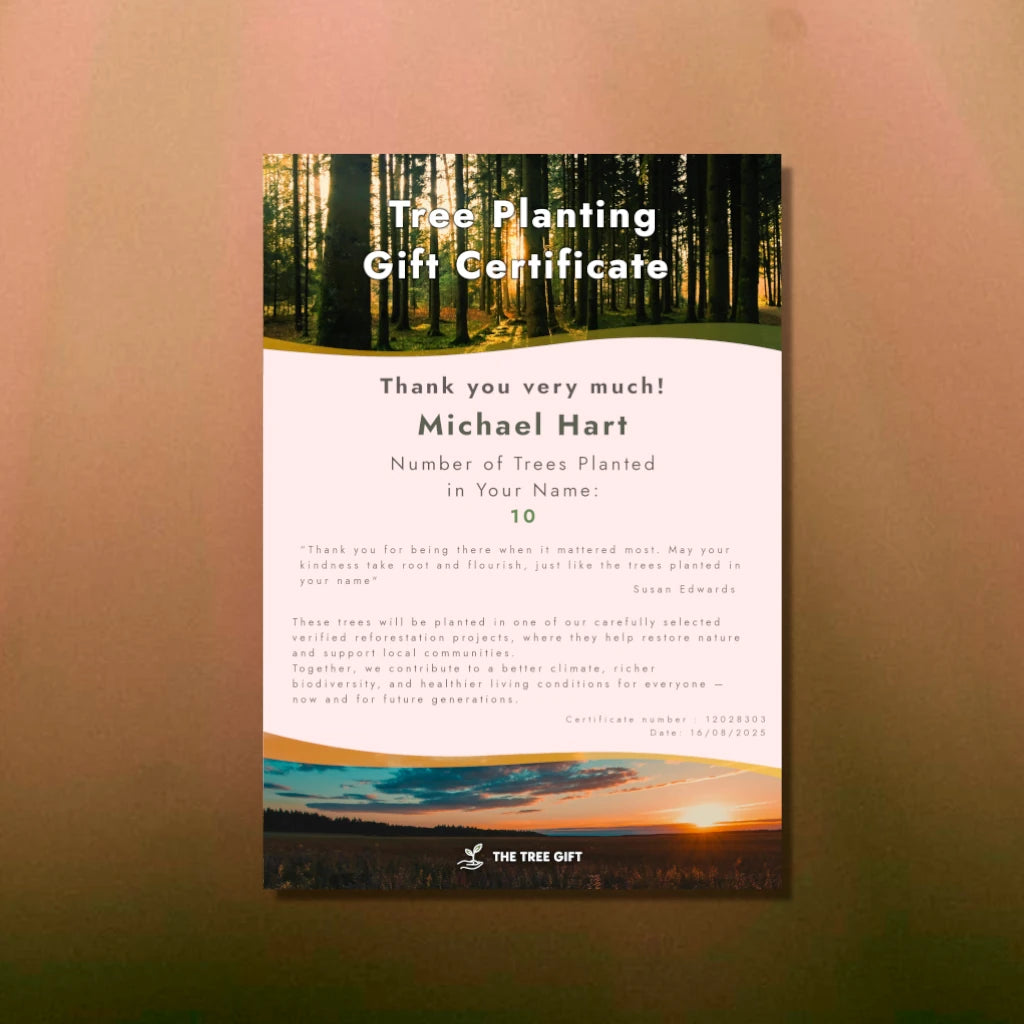 Gift 3 Trees - Gratitude Pack