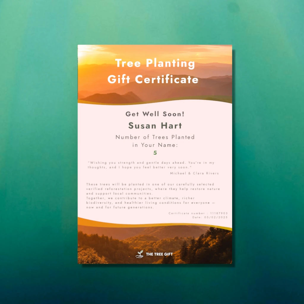 Gift A Tree - Get-Well-Soon Pack