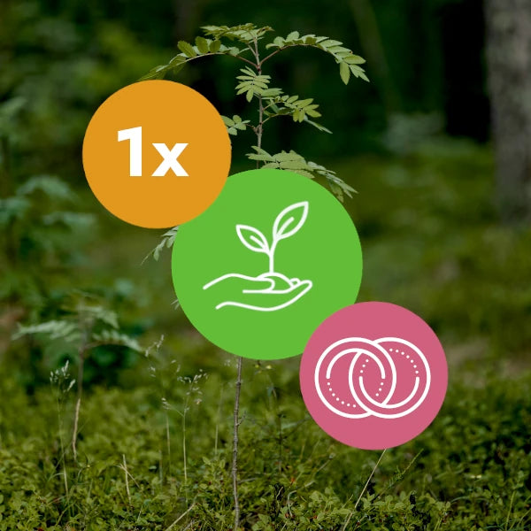 Gift A Tree - Wedding Pack