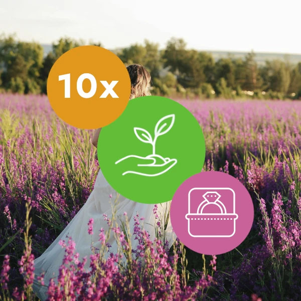 Gift 10 Trees - Wedding Pack