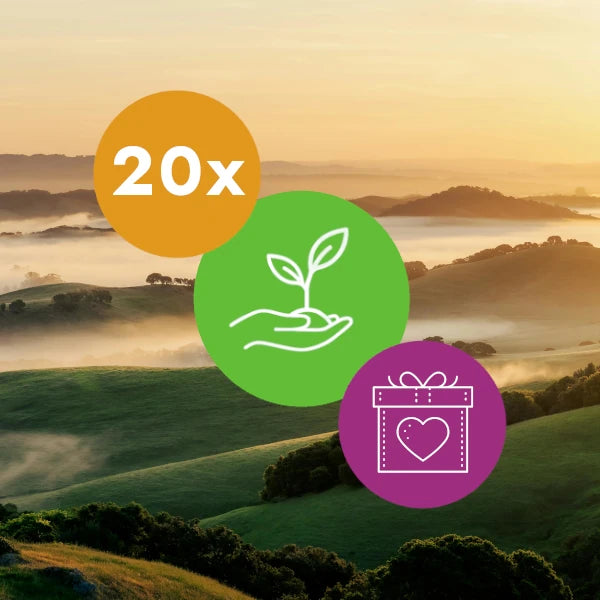 Gift 20 Trees - Wedding Pack