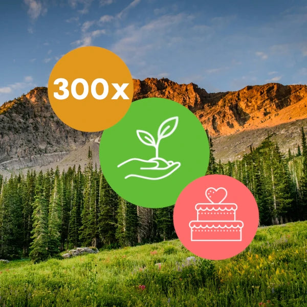 Gift 300 Trees - Wedding Pack