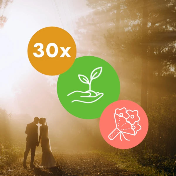 Gift 30 Trees - Wedding Pack
