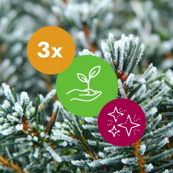 Gift 3 Trees - Christmas Pack