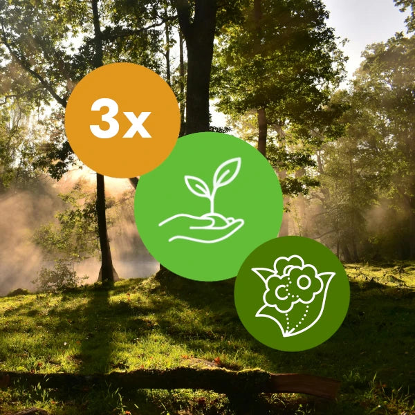 Gift 3 Trees - Wedding Pack