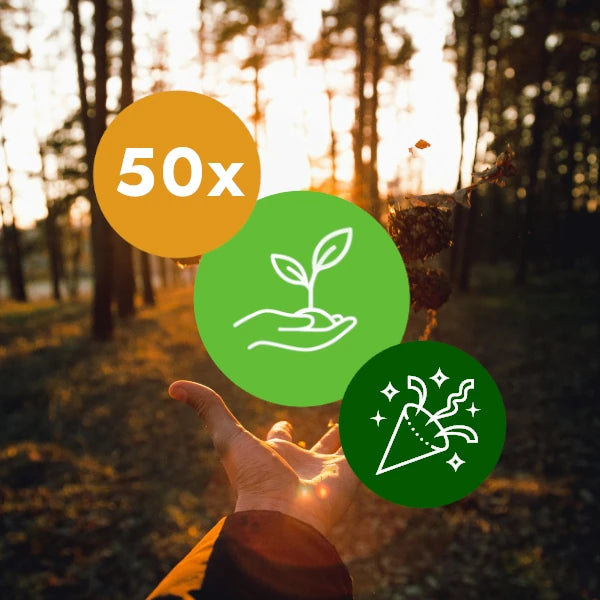 Gift 50 Trees - Birthday Pack