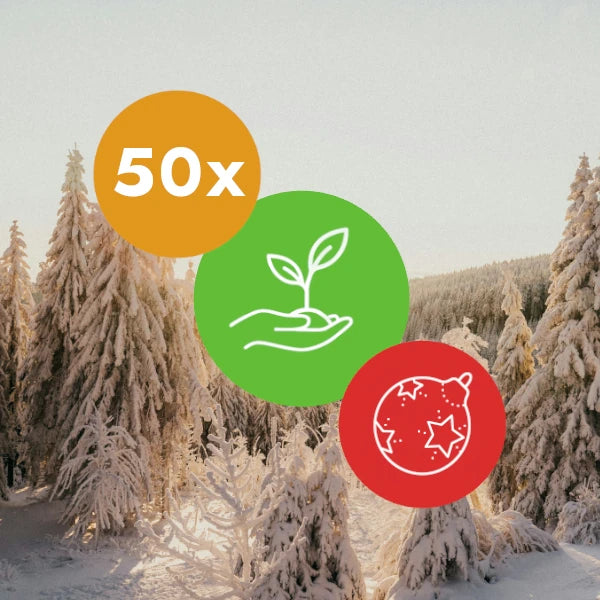 Gift 50 Trees - Christmas Pack