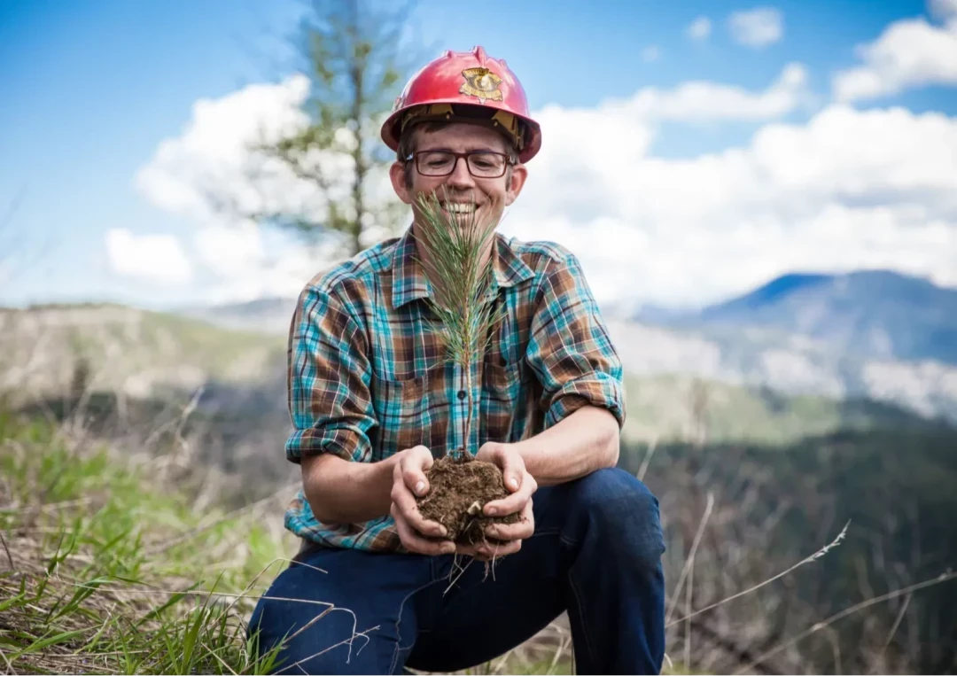 Gift a Tree - Christmas Pack