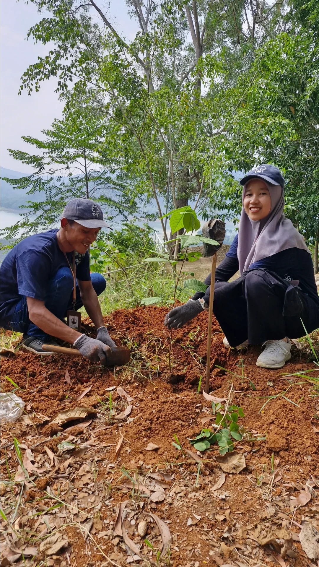 Gift 3 Trees - Wedding Pack