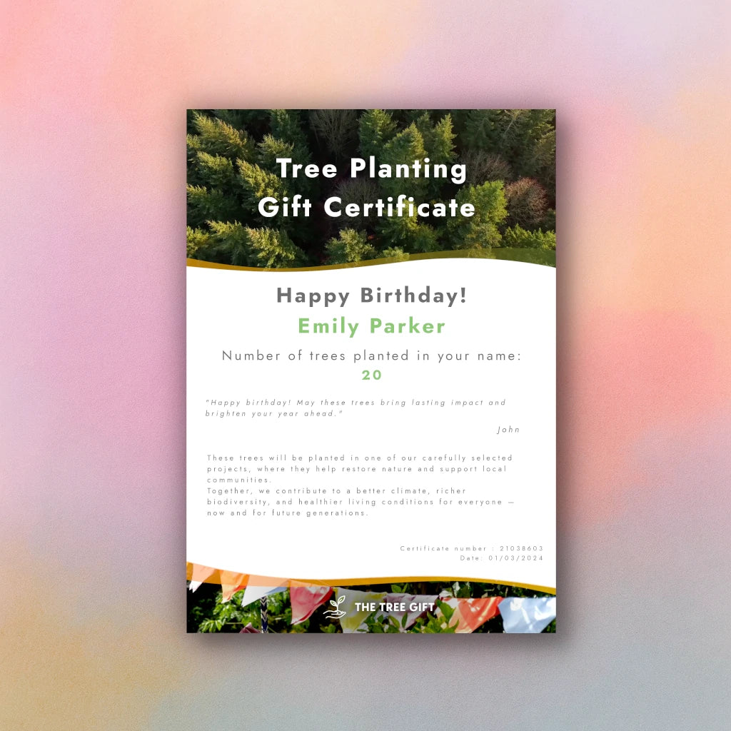 Gift 5 Trees - Birthday Pack