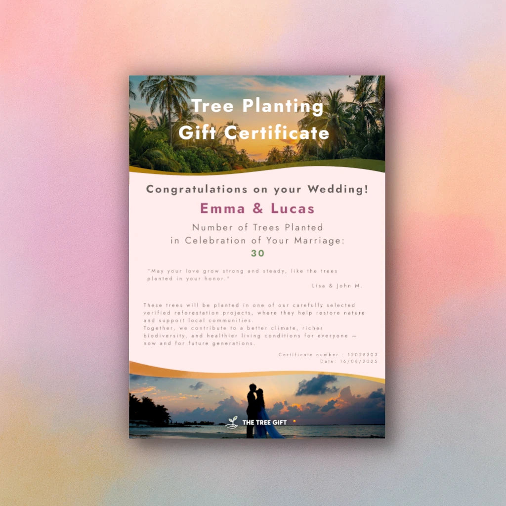 Gift 3 Trees - Wedding Pack