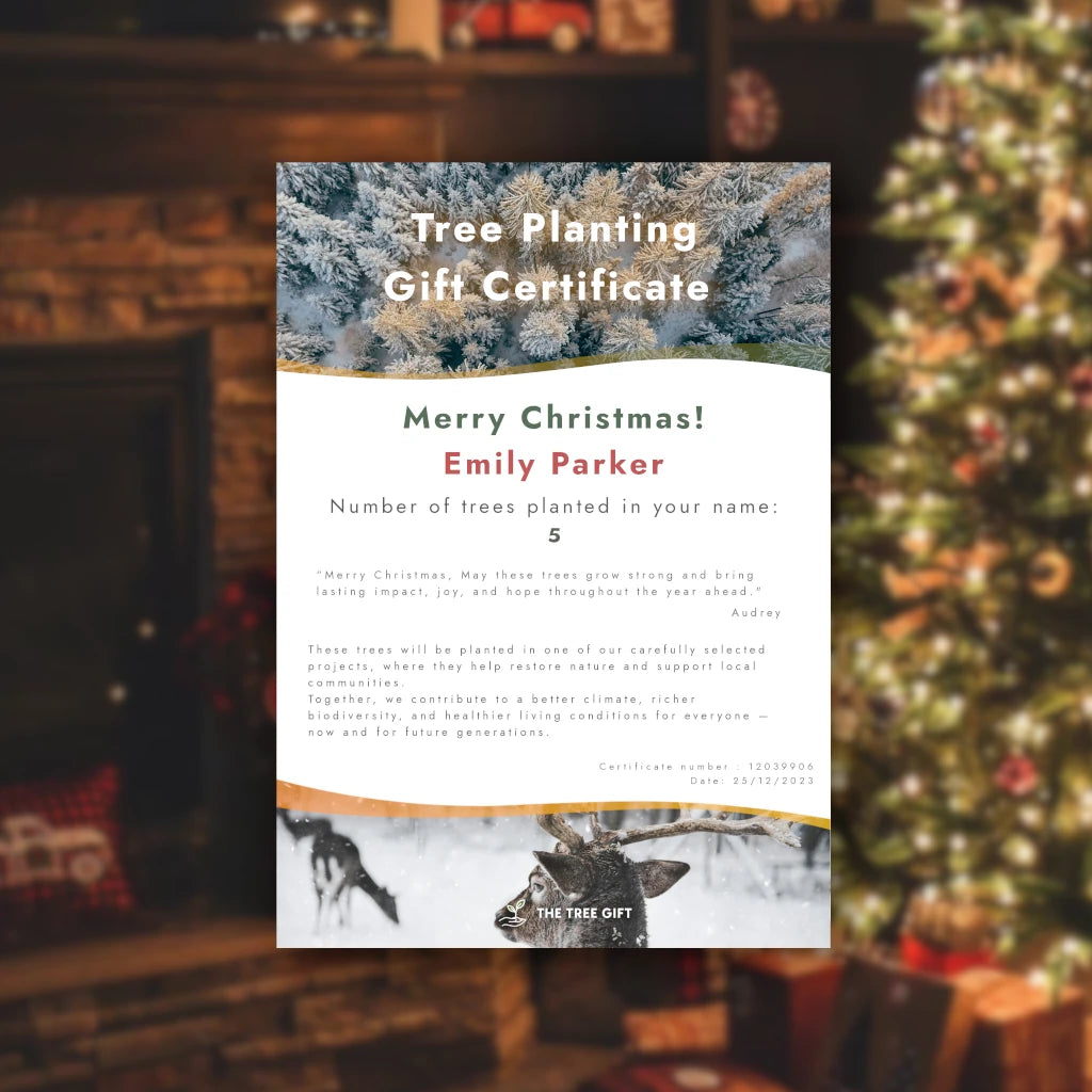 Gift 10 Trees - Christmas Pack