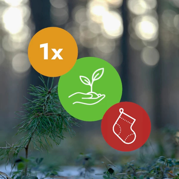 Gift a Tree - Christmas Pack