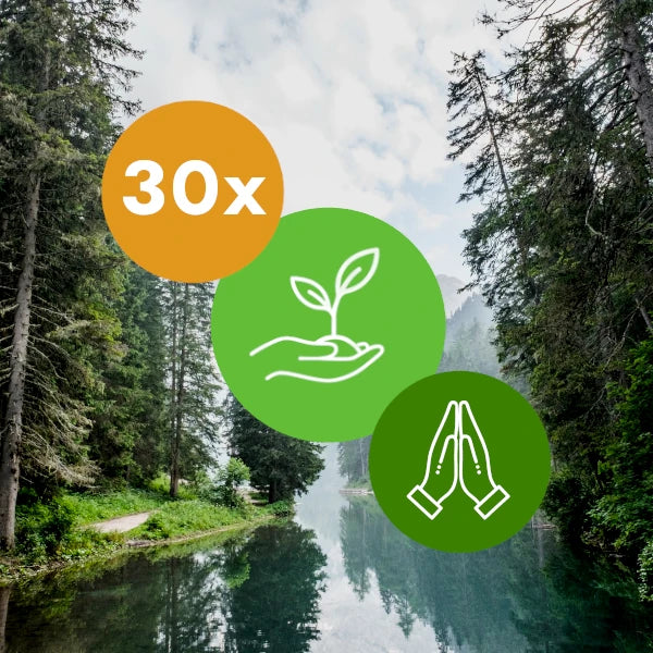 Gift 30 Trees - Gratitude Pack