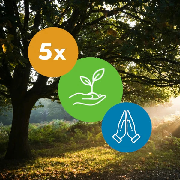 Gift 5 Trees - Gratitude Pack