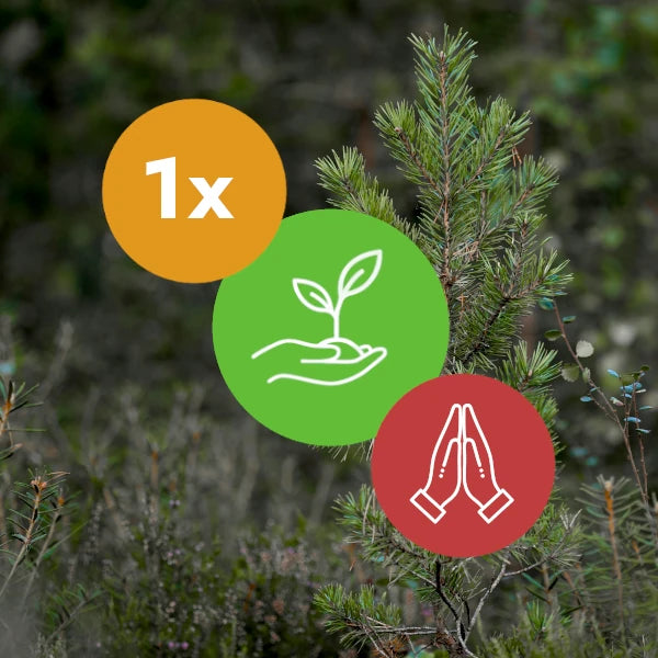 Gift A Tree - Gratitude Pack