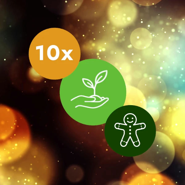 Gift 10 Trees - Christmas Pack