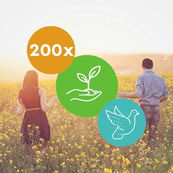 Gift 200 Trees - Wedding Pack