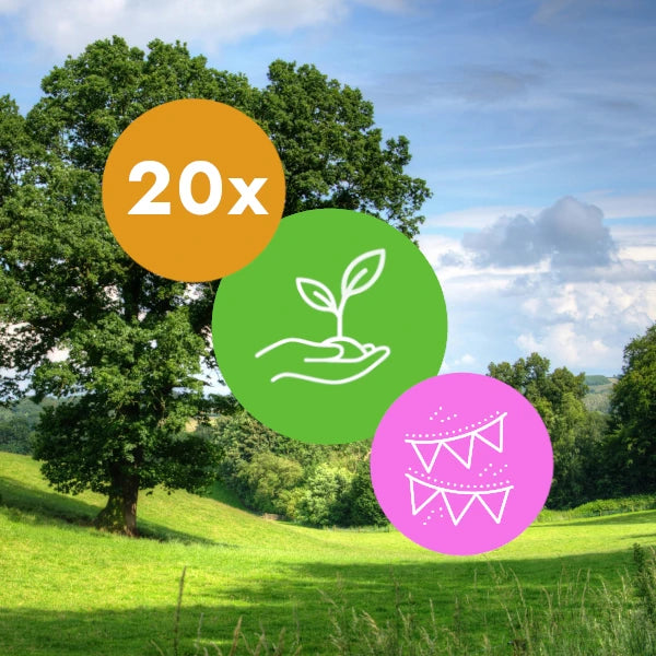 Gift 20 Trees - Birthday Pack