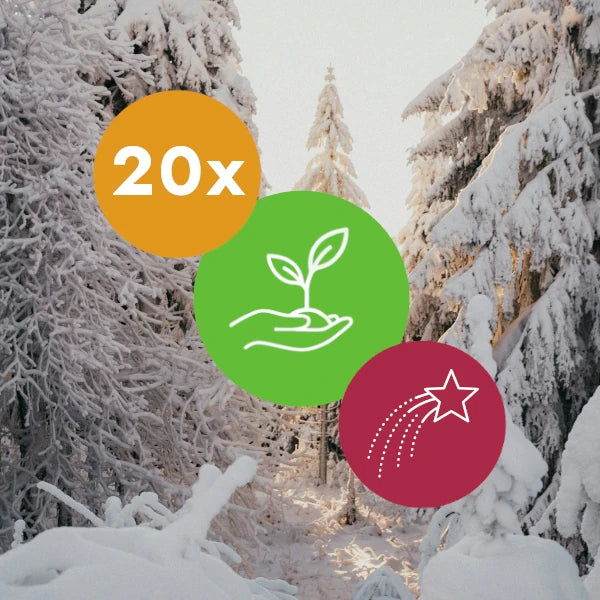 Gift 20 Trees - Christmas Pack