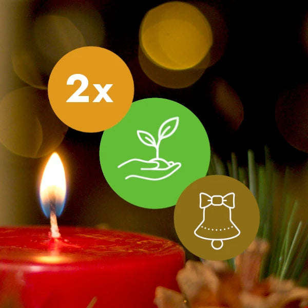 Gift Two Trees - Christmas Pack