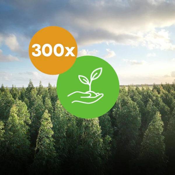 Plant 300 Trees