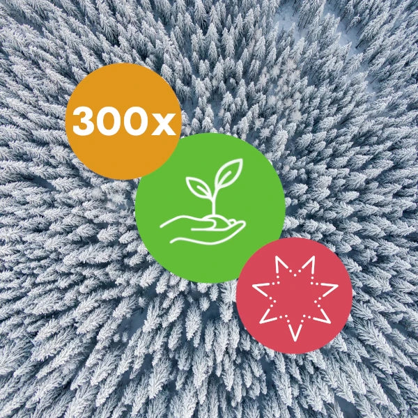 Gift 300 Trees - Christmas Pack