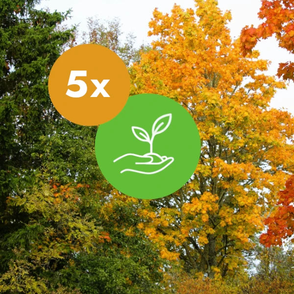 Plant 5 Trees