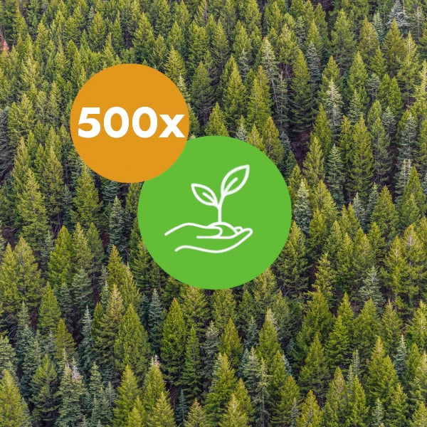 Plant 500 Trees