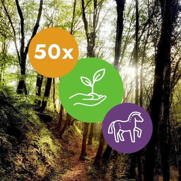 Gift 50 Trees - Wedding Pack