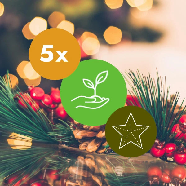 Gift 5 Trees - Christmas Pack