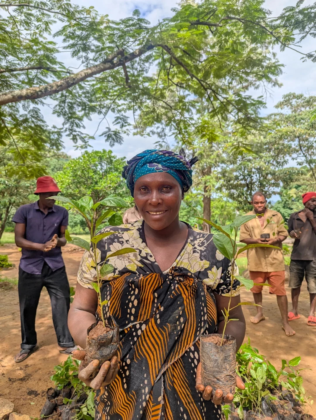 Gift 200 Trees - Gratitude Pack