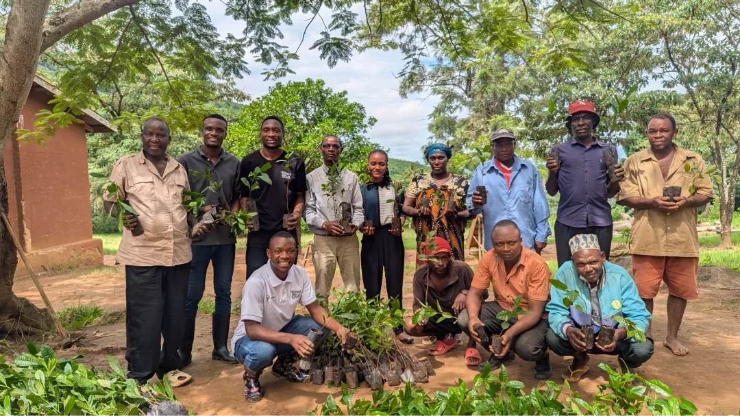 Gift 200 Trees - Gratitude Pack