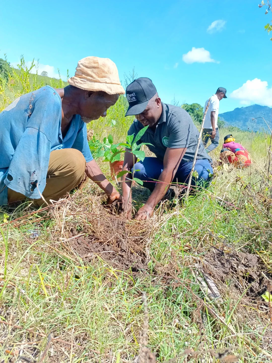 Gift 200 Trees - Gratitude Pack
